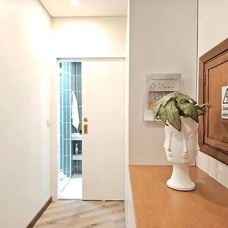 Ninho Santa Catarina