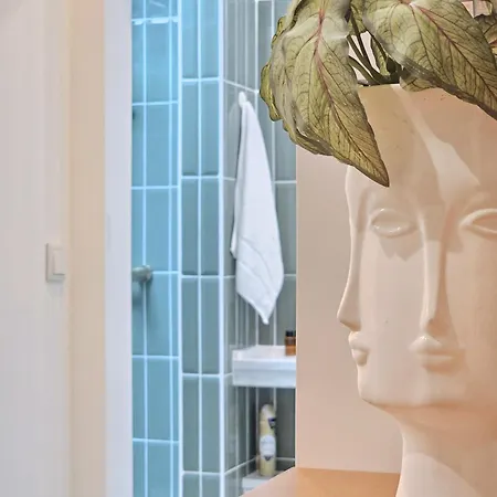 Ninho Santa Catarina * Porto